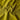 #colour_sulphur-moss