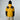 #colour_summit-gold-tnf-black-npf