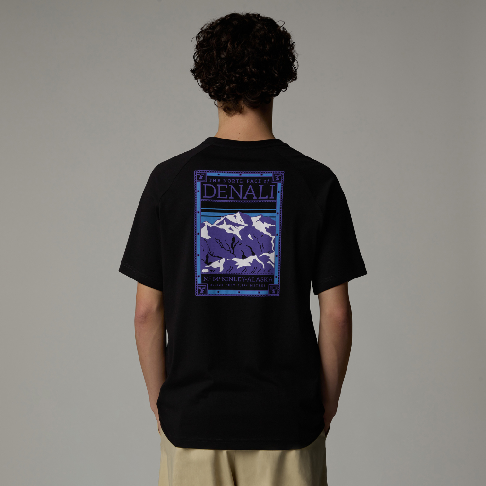 MEN S NORTH FACES T SHIRT THE NORTH FACE