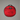 #colour_tnf-red-tnf-black-npf
