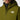 #colour_forest-olive