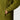 #colour_forest-olive