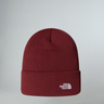 #colour_sumac