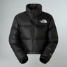 #colour_tnf-black-tnf-black-recycled-down