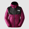 #colour_boysenberry-tnf-black