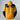 #colour_summit-gold-tnf-black-npf