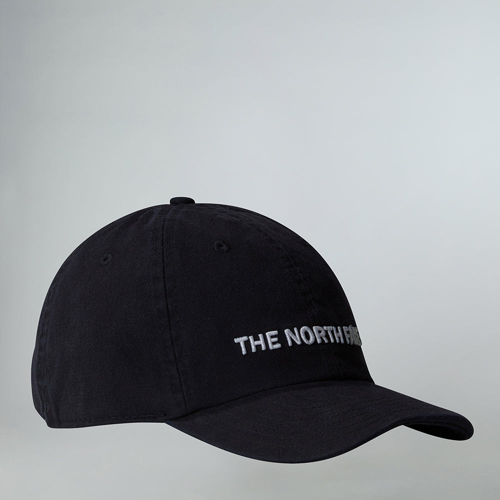 #colour_tnf-black-washed-horizontal-logo