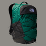 #colour_evergreen-tnf-black