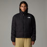 #colour_tnf-black