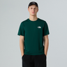 #colour_hunter-green