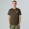 #colour_new-taupe-green