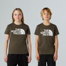 #colour_new-taupe-green