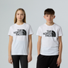#colour_tnf-white