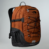 #colour_burnt-umber-tnf-black